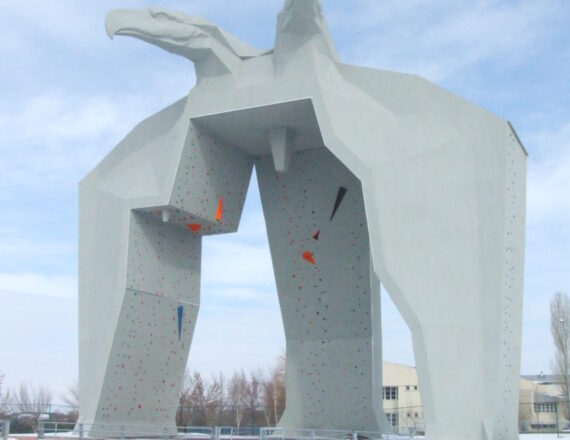 ERZURUM ATATÜRK ÜNİVERSİTESİ BUZ TIRMANMA...